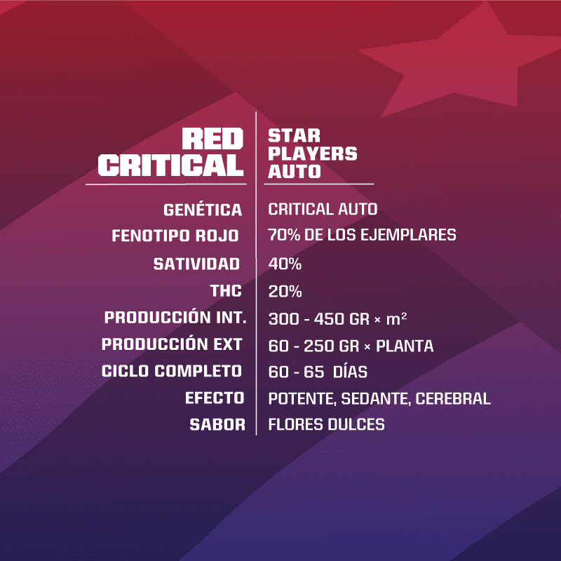 Red Critical Auto X7 - Bsf - vista 3
