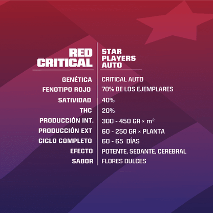 Red Critical Auto X7 - Bsf - vista 3