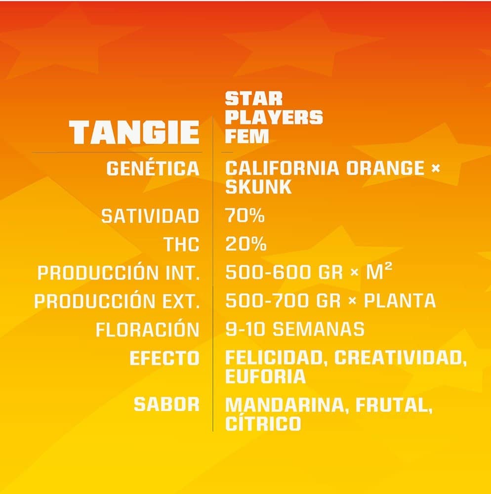 Tangie Fem X4 - Bsf - vista 2