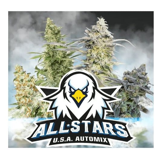 All Stars Usa Mix Auto X4 - Bsf