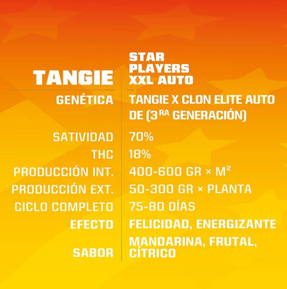 Tangie Xxl Auto X7 - Bsf - vista 2