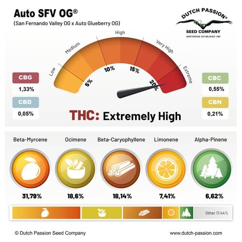 Sfv OG Auto X3 - Dutch Passion - vista 2