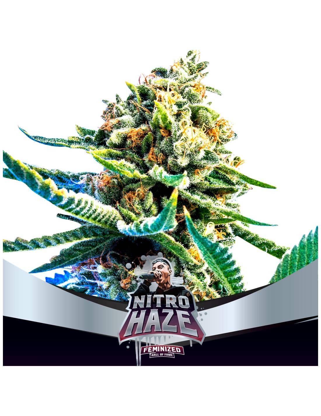 Nitro Haze Fem X2 - Bsf