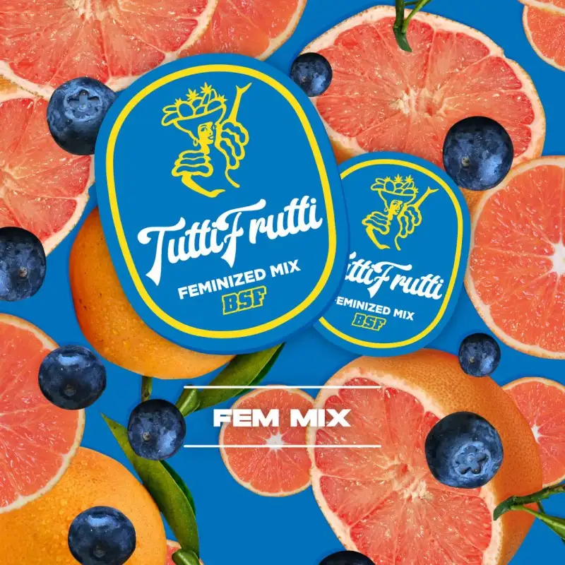 Tutti Frutti Mix Fem X12 - Bsf - vista 2