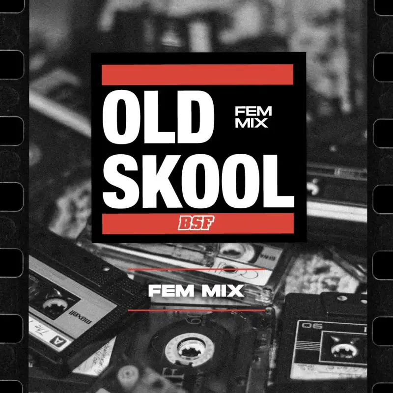 Old Skool Mix Fem X12 - Bsf - vista 3