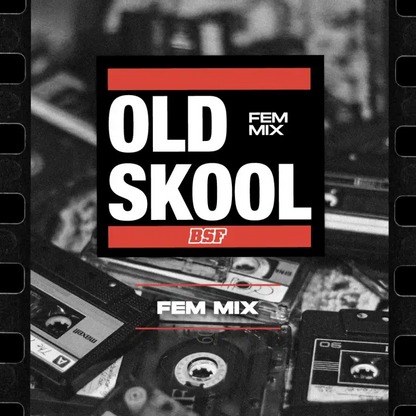 Old Skool Mix Fem X12 - Bsf - vista 3