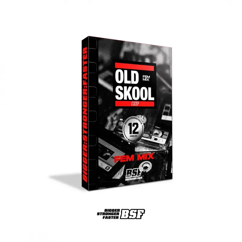 Old Skool Mix Fem X12 - Bsf