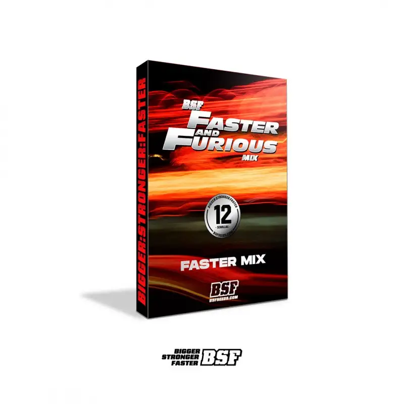 Faster And Furious Faster Mix Fem X12 - Bsf