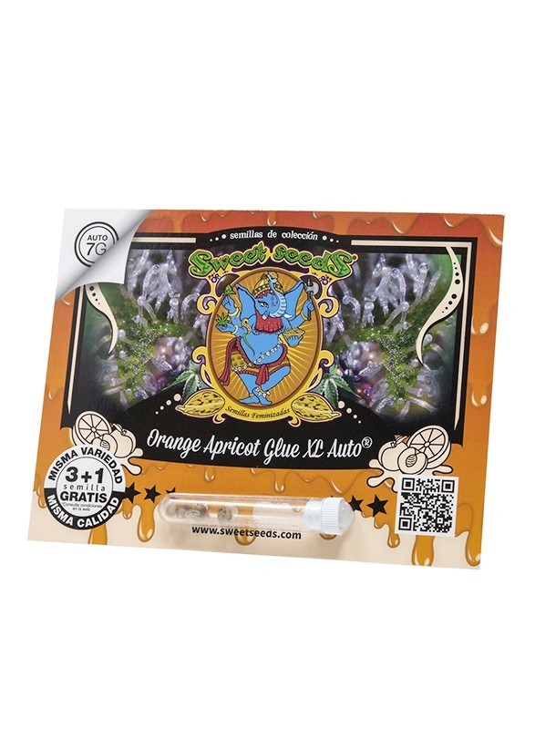 Orange Apricot Glue Xl Auto 3+1 - Sweet Seeds