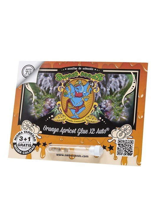 Orange Apricot Glue Xl Auto 3+1 - Sweet Seeds