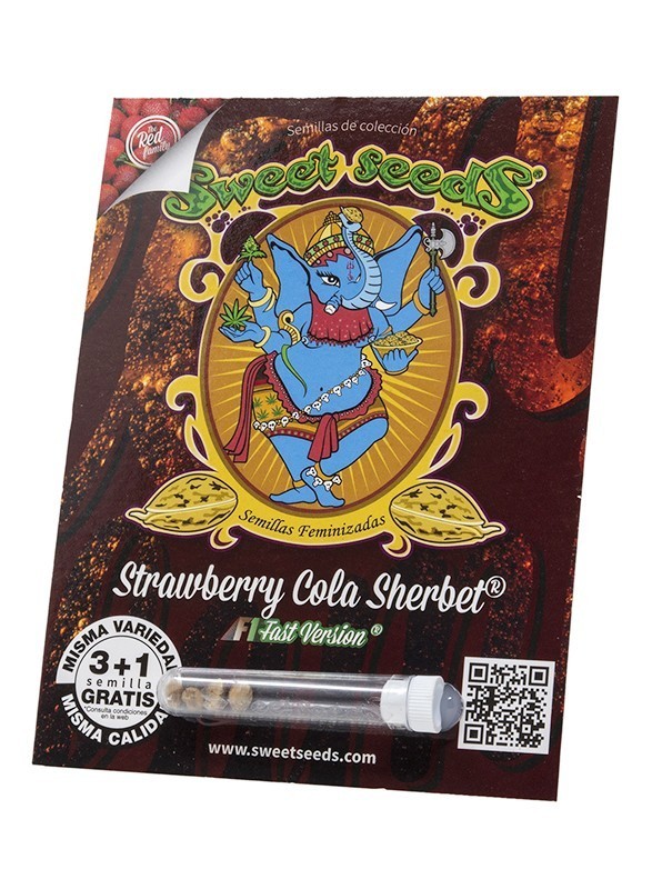 Strawberry Cola Sherbert F1 X3+1 - Sweet Seeds