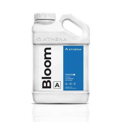 Bloom A+B 3.75LT - Athena - vista 2