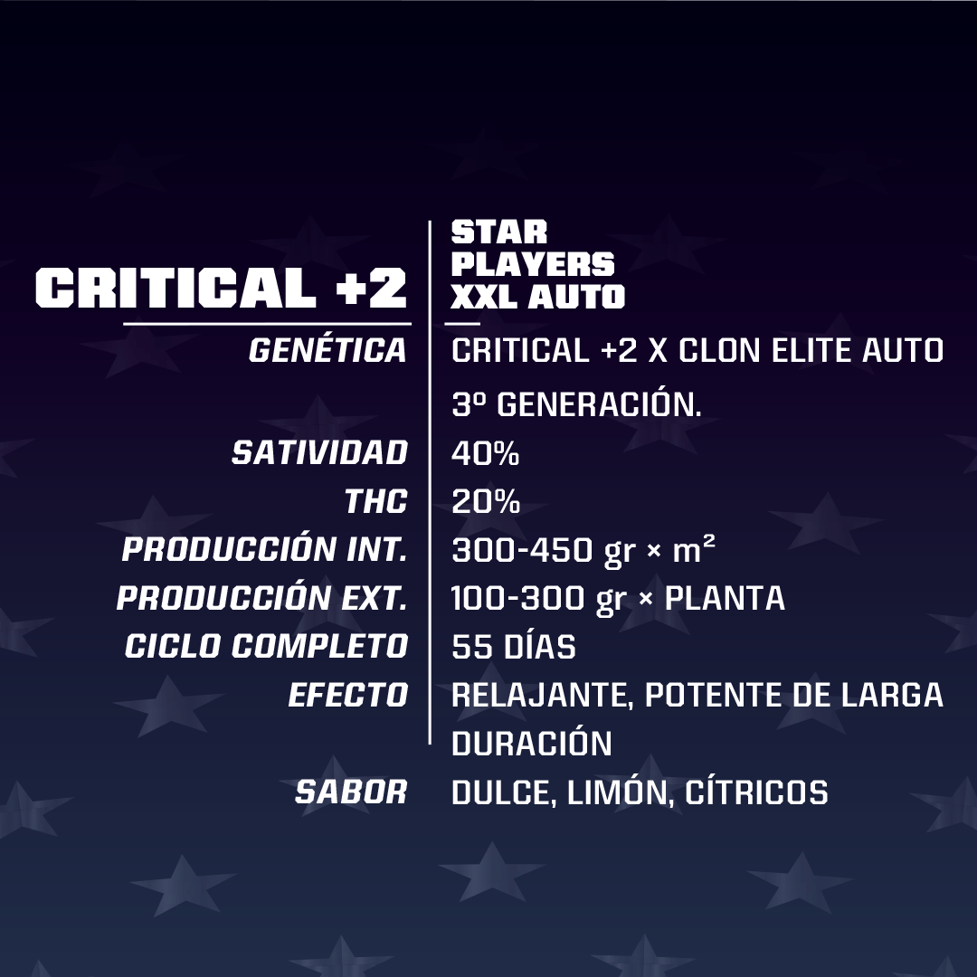 Critical +2 Xxl Auto X2 - Bsf - vista 2