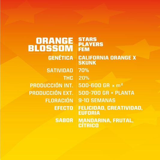 Orange Blossom Xxl Auto X2 - Bsf