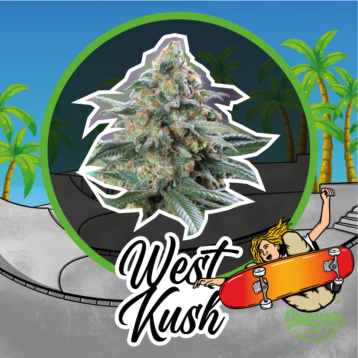 West Kush Auto X2 - Delirium Seeds