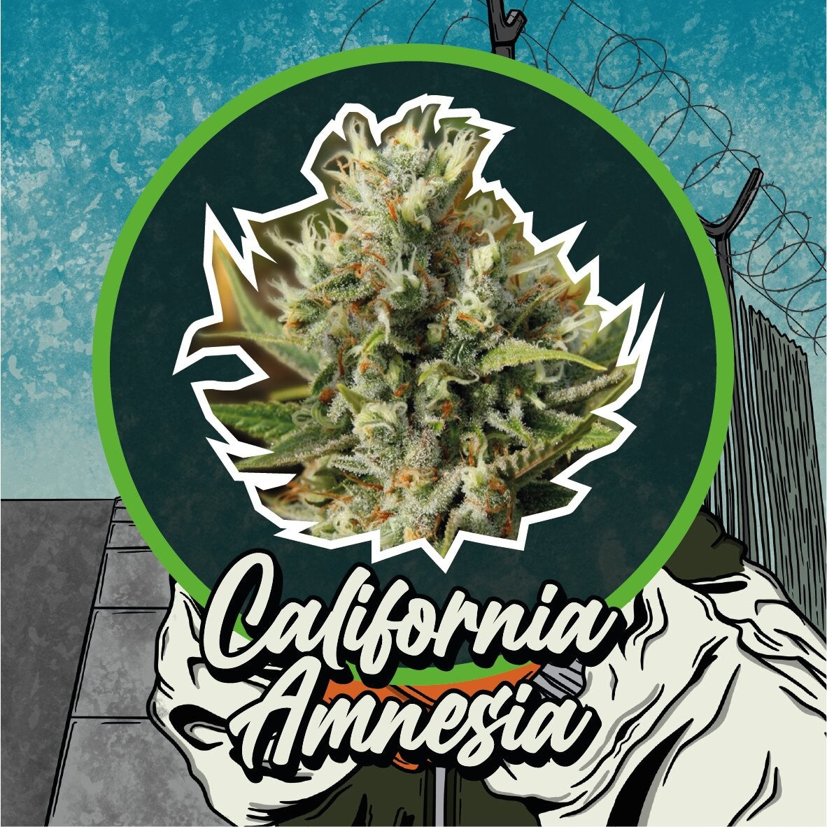 California Amnesia Fem X4 - Delirium Seeds