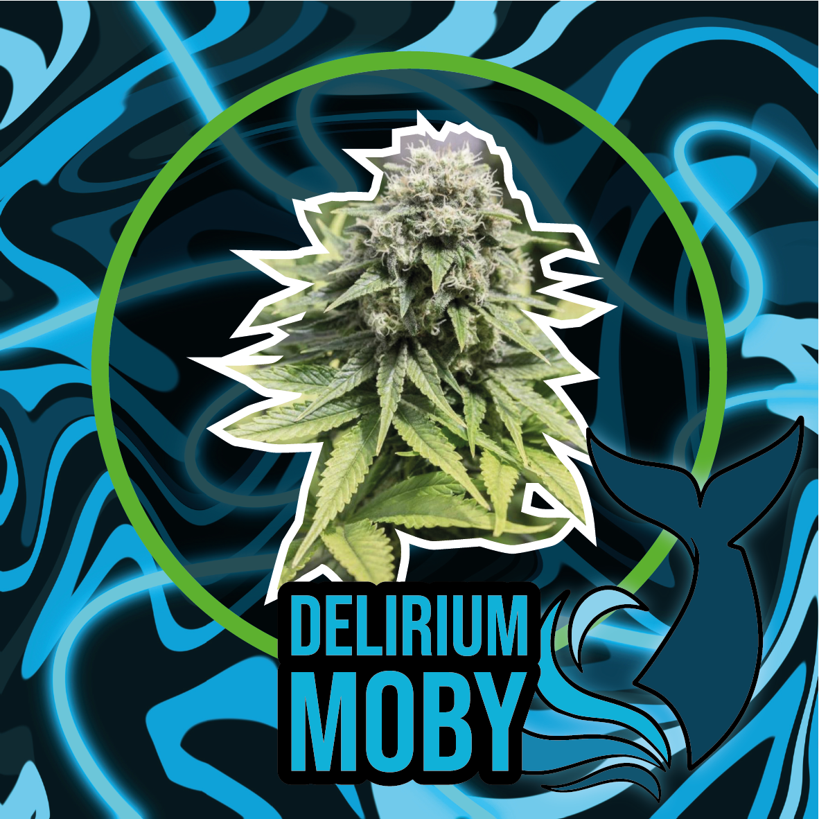Delirium Moby Fast Version X4 - Delirium Seeds