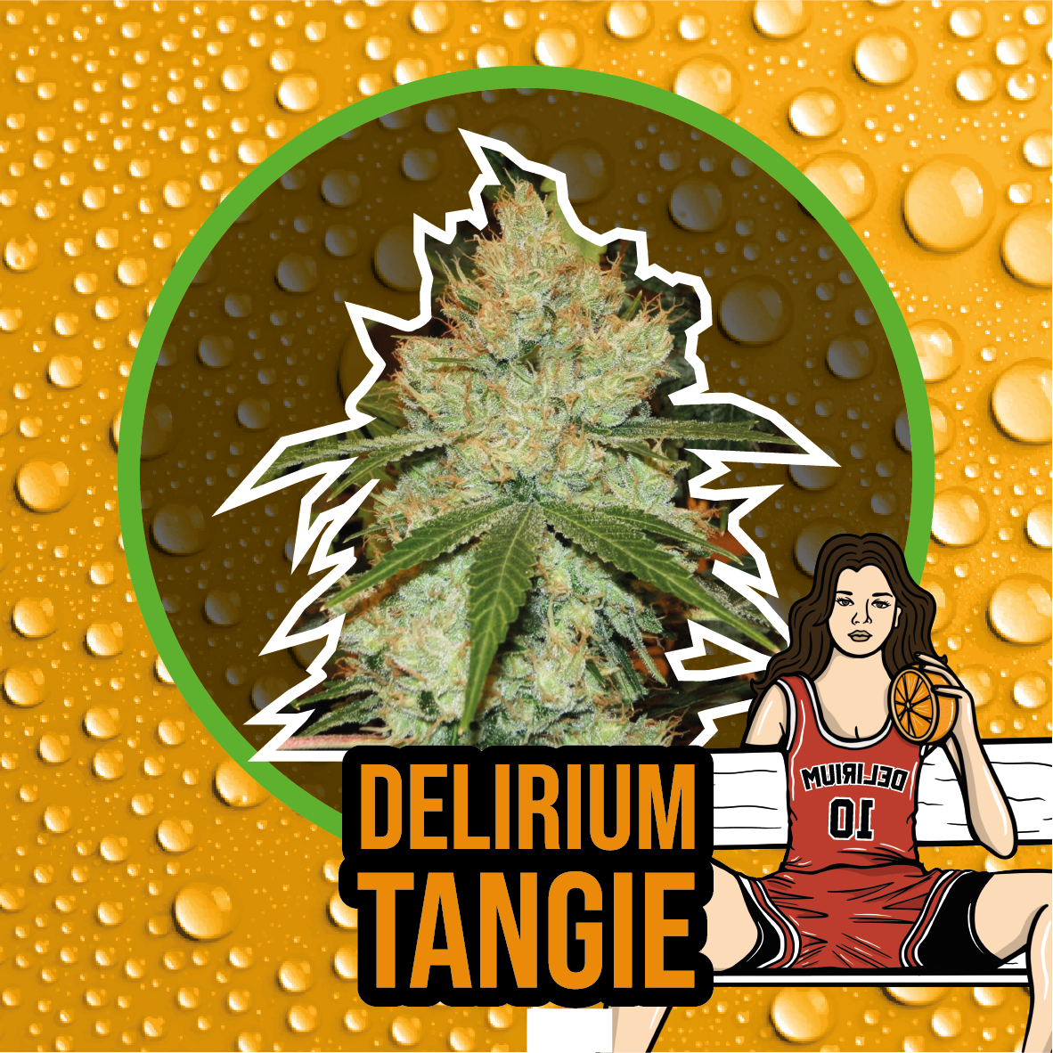 Delirium Tangi Fem X2 - Delirium Seeds