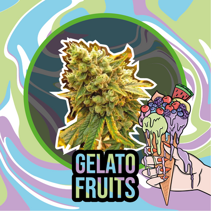 Gelato Fruits Auto X2 - Delirium Seeds - vista 2