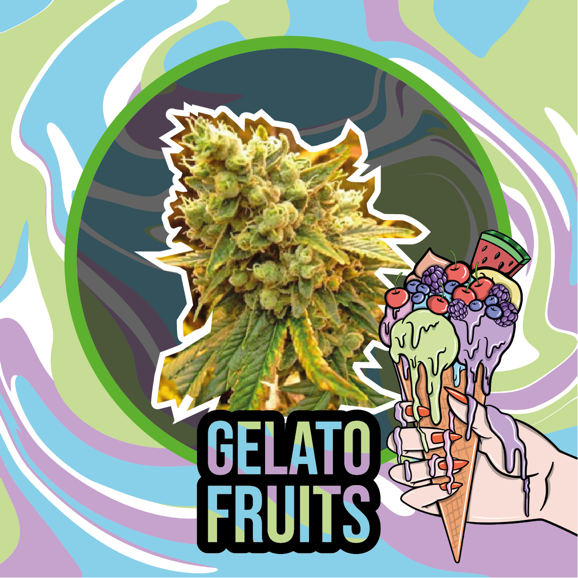 Gelato Fruits Auto X4 - Delirium Seeds - vista 2