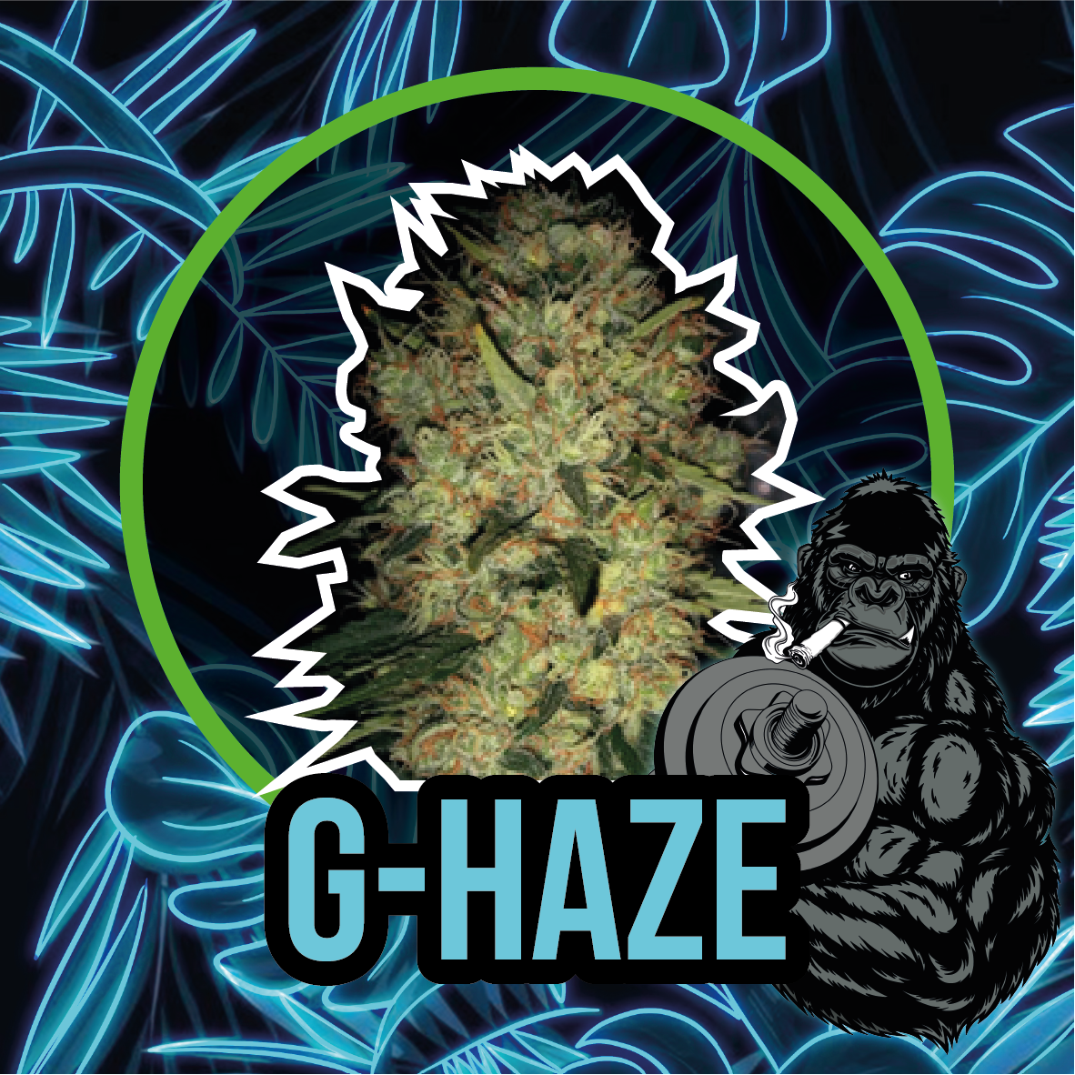 Gorilla Xl Fast Version X1 - Delirium Seeds - vista 2