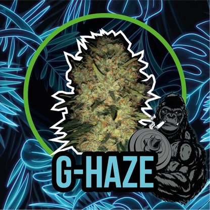 Gorilla Xl Fast Version X1 - Delirium Seeds - vista 2