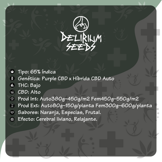 Medical CBD Fem X1 - Delirium Seeds