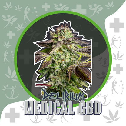 Medical CBD Fem X4 - Delirium Seeds