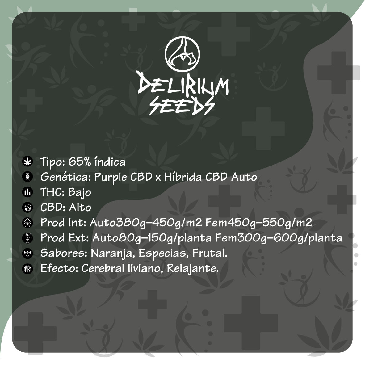Medical CBD Auto X1 - Delirium Seeds - vista 2