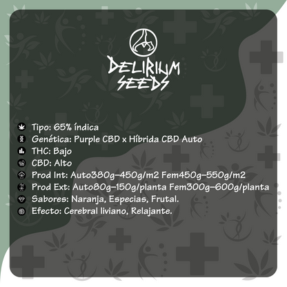 Medical CBD Auto X1 - Delirium Seeds - vista 2