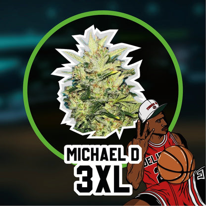 Michael D 3XL Auto X2 - Delirium Seeds