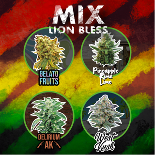 Mix Lion Bless Auto X8 - Delirium Seeds