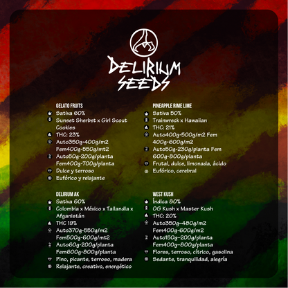 Mix Lion Bless Auto X4 - Delirium Seeds - vista 2