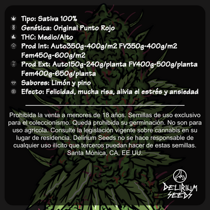 Punto Rojo Fem X4 - Delirium Seeds - vista 2