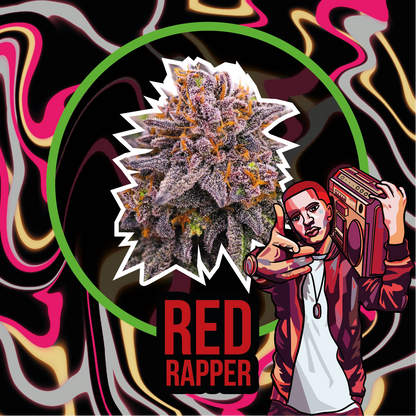 Red Rapper Auto X1 - Delirium Seeds - vista 2