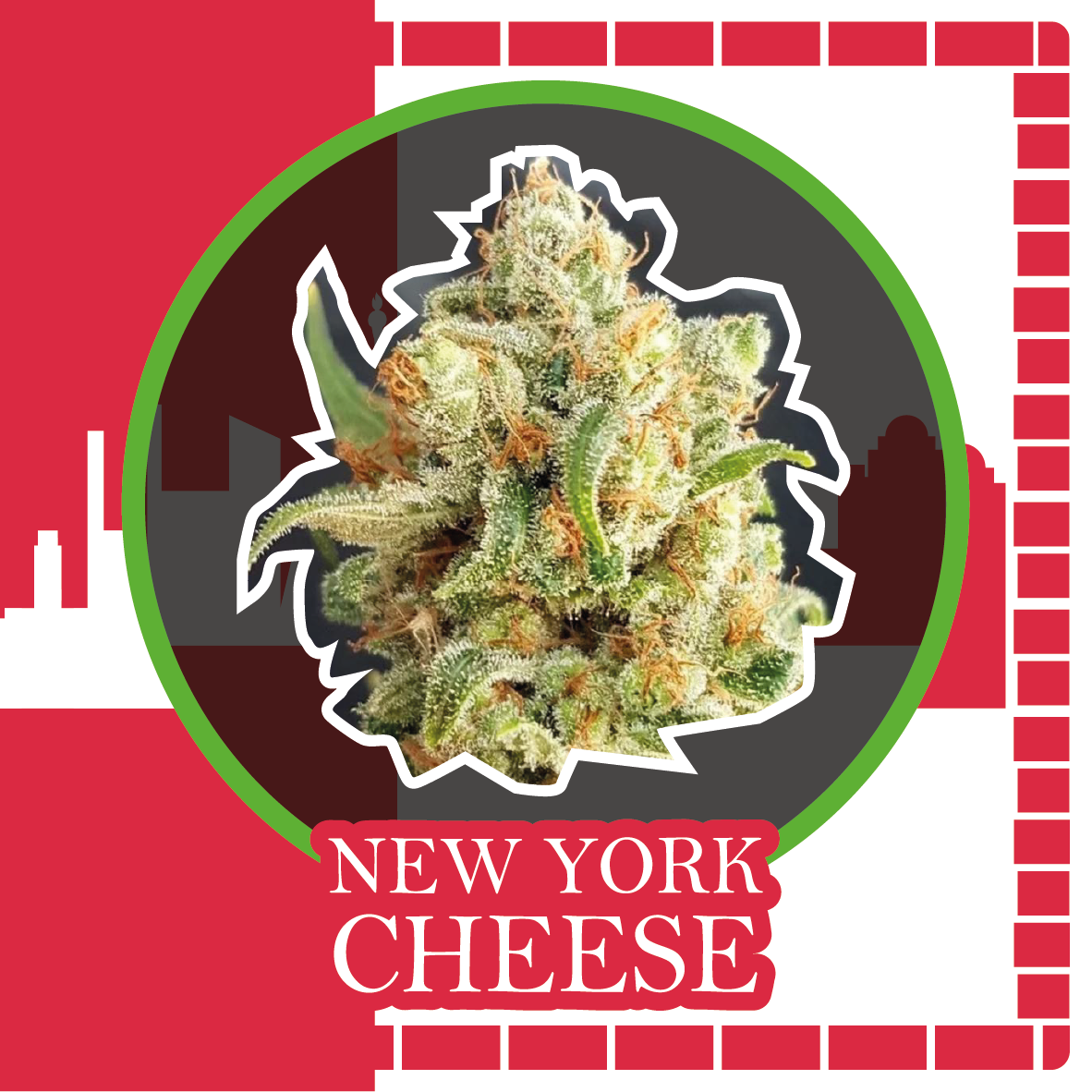 New York Cheese Auto X2 - Delirium Seeds
