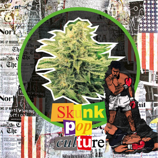 Skunk Pop Culture Auto X1 - Delirium Seeds