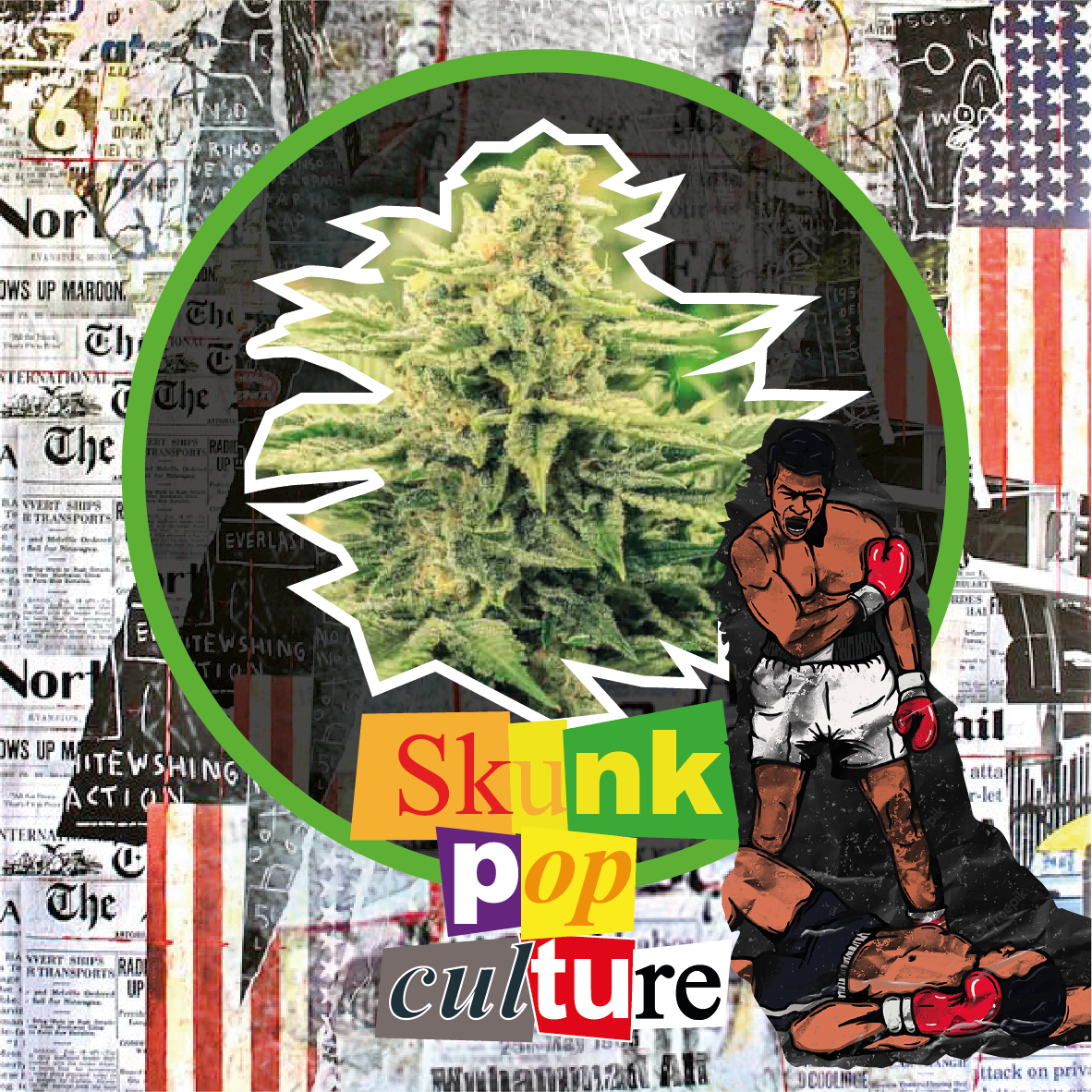 Skunk Pop Culture Auto X4 - Delirium Seeds - vista 2