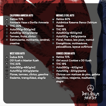 Mix Hollywood Vibe Auto X4 - Delirium Seeds - vista 2