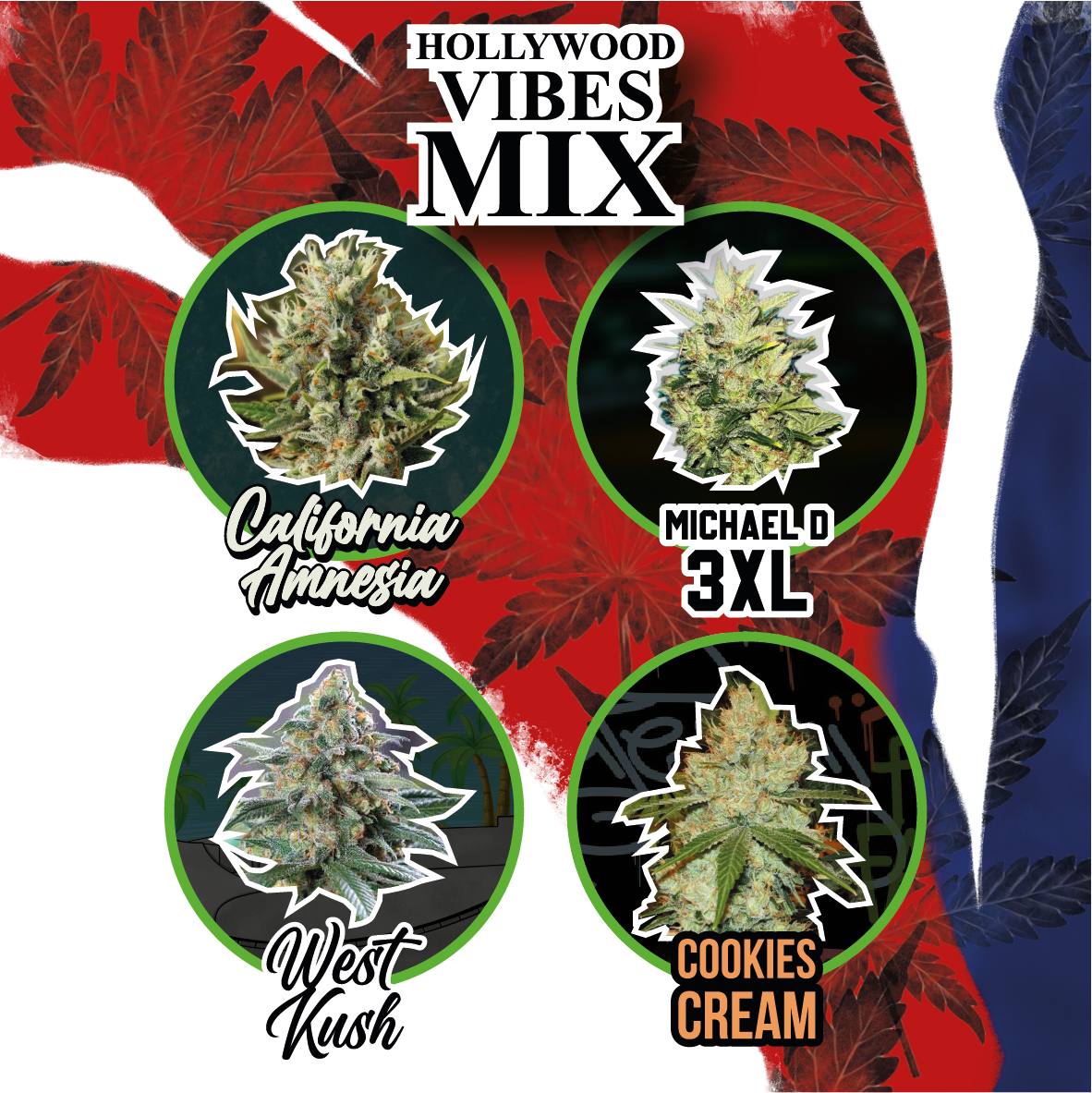 Mix Hollywood Vibe Auto X4 - Delirium Seeds