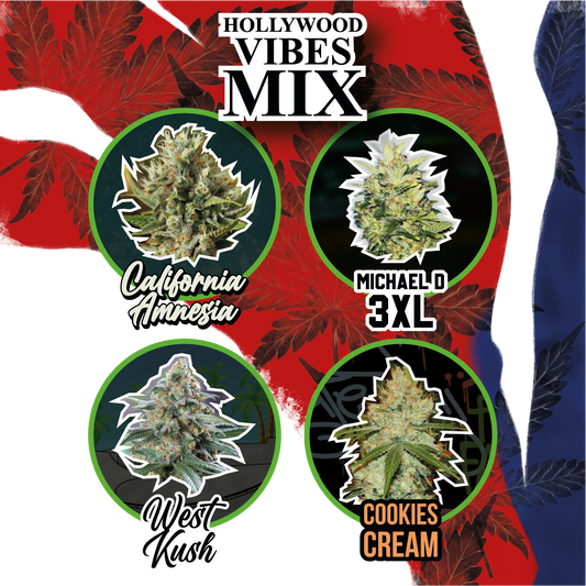 Mix Hollywood Vibe Auto X4 - Delirium Seeds