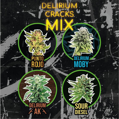 Mix Delirium Crack Fast Version X14 - Delirium Seeds