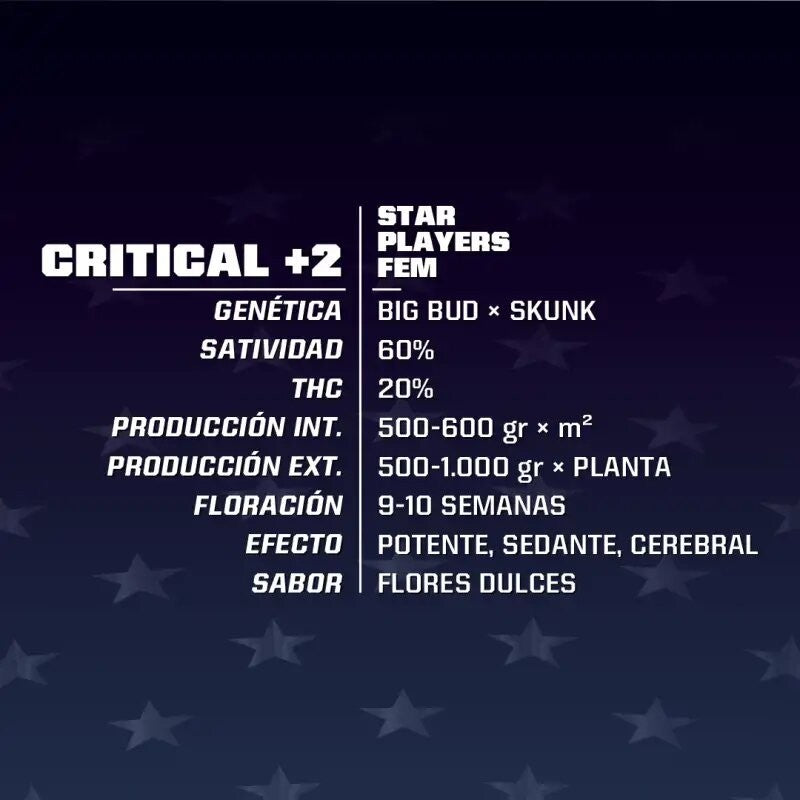 Critical +2 Fem X2 - Bsf - vista 2