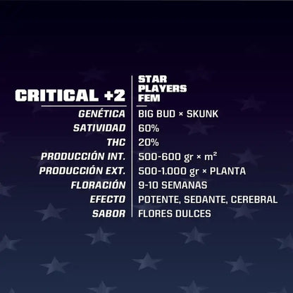 Critical +2 Fem X2 - Bsf - vista 2