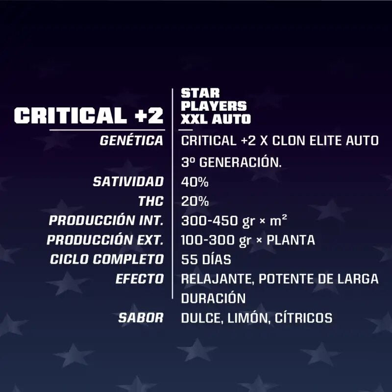 Critical +2 Xxl Auto X12 - Bsf - vista 2