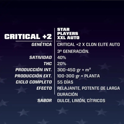 Critical +2 Xxl Auto X12 - Bsf - vista 2