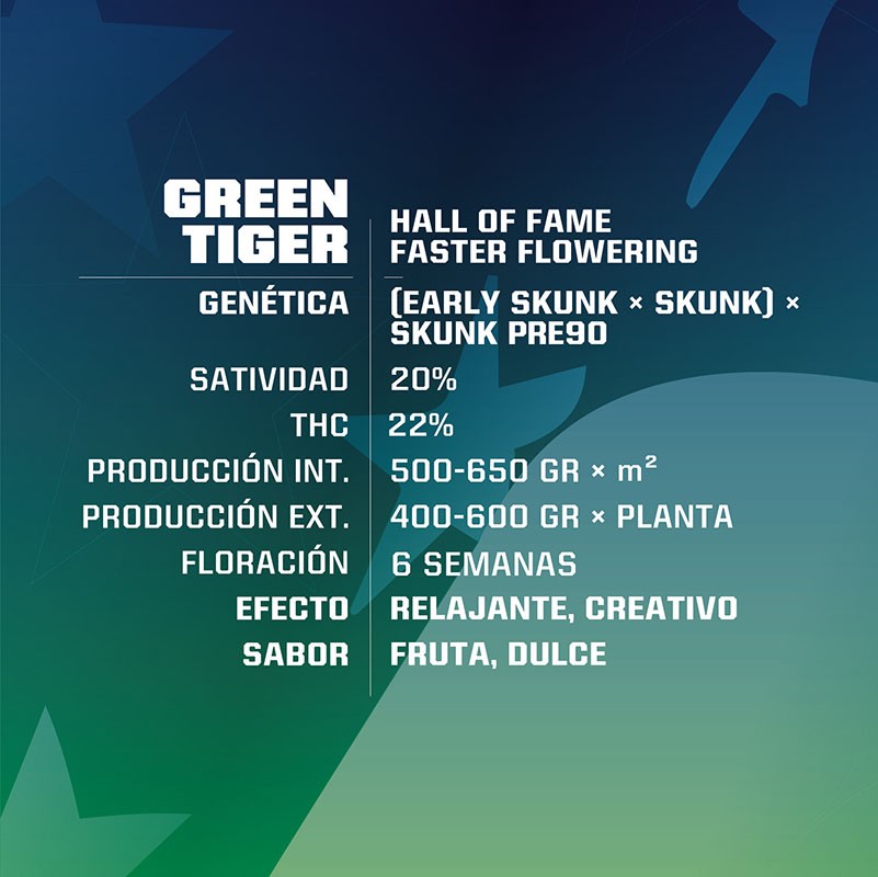 Green Tiger Fast Fem X2 - Bsf - vista 2