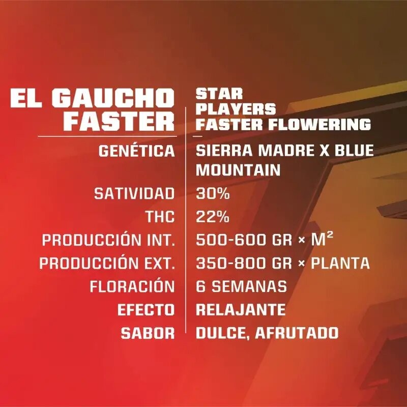 El Gaucho Faster Sp X2 - Bsf - vista 2