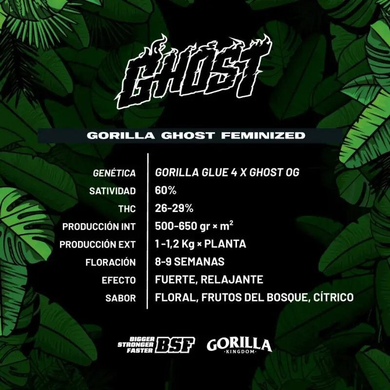 Gorilla Ghost Gk Fem X2 - Bsf