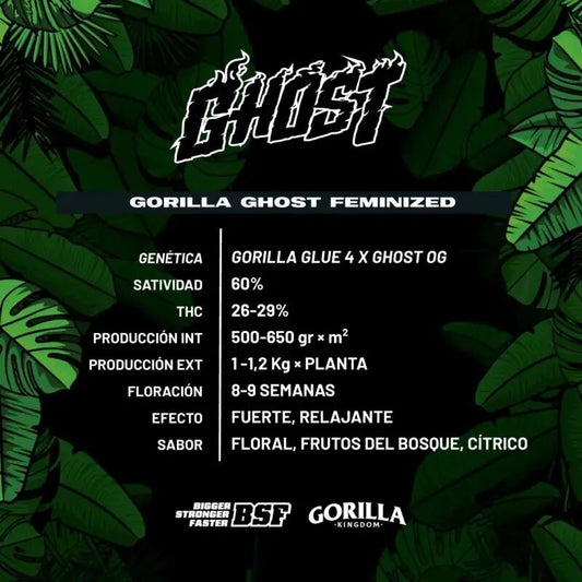 Gorilla Ghost Gk Fem X2 - Bsf